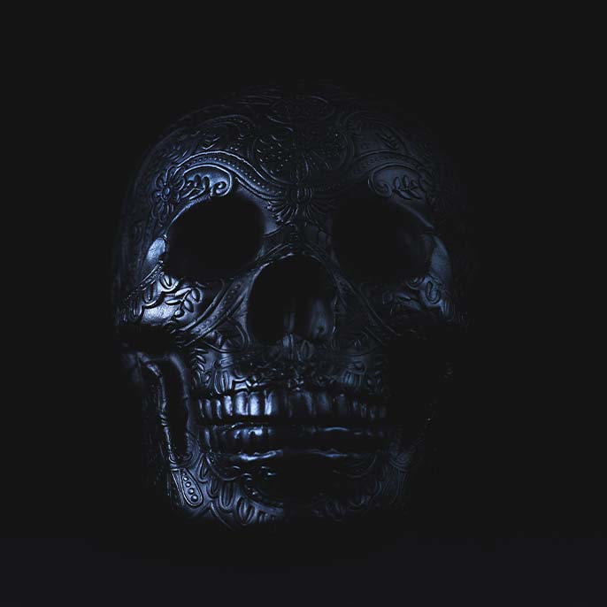 Photographic Exhibition